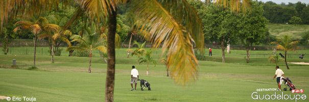 Golf international de Saint-François
