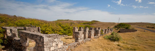 Ruine de léproserie, ancienne cotonnerie et phare de la pointe doublé