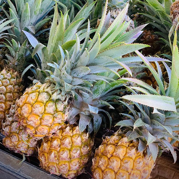 ananas de guadeloupe