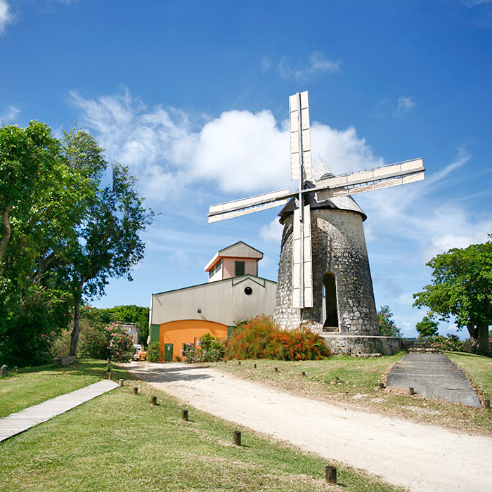 Marie-galante rhum moulin bellevue