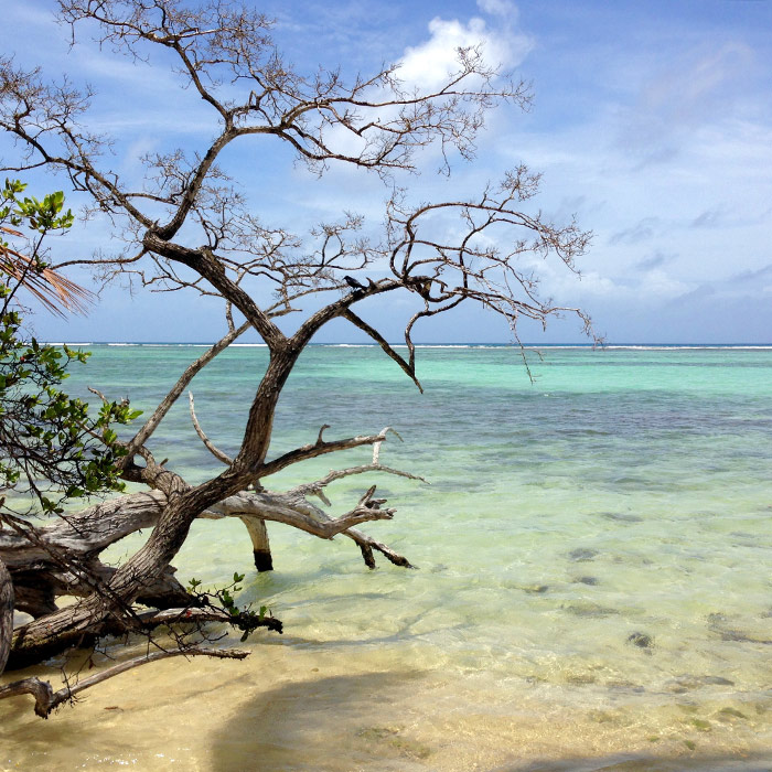 marie-galante plage guadeloupe